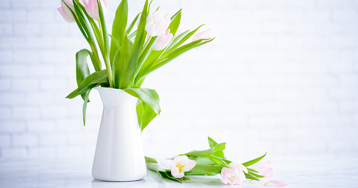 Easy Spring Cleansing Concepts: 30 Ideas and Assets